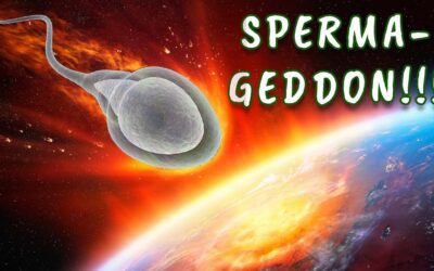 Buta manoszférás SOKKvideó a kukiddal riogat! 😂