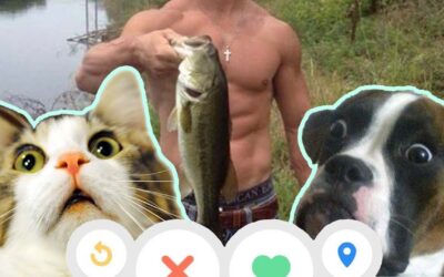 Macskás Tinderboi Kudarc? | Random Tanulmány