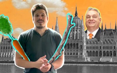 Répa, husáng, Orbán-rendszer